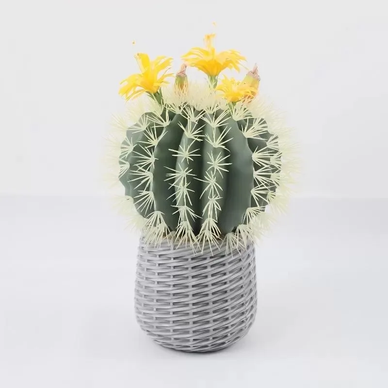Xin Hai Arts & Crafts Co., Limited