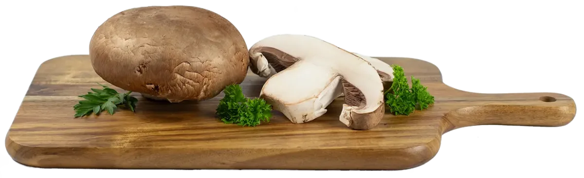 Farmers Fresh Mushrooms - Agriculture products | Canada
