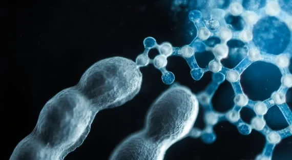 Lamberti S.p.A - Chemicals products | Italy