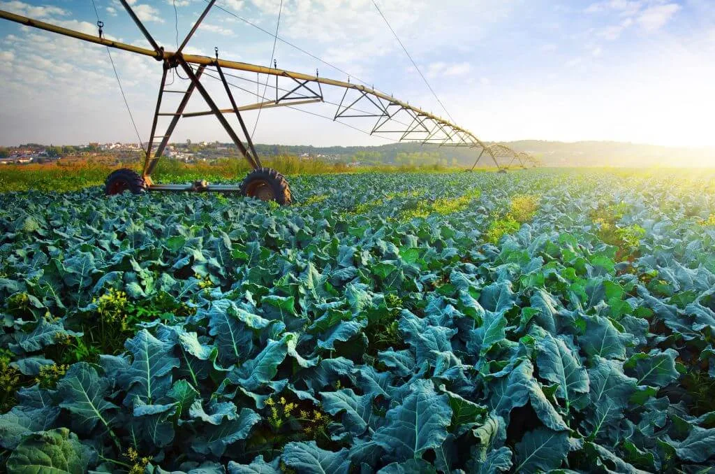 EZ-Gro Inc - Agriculture products | Canada