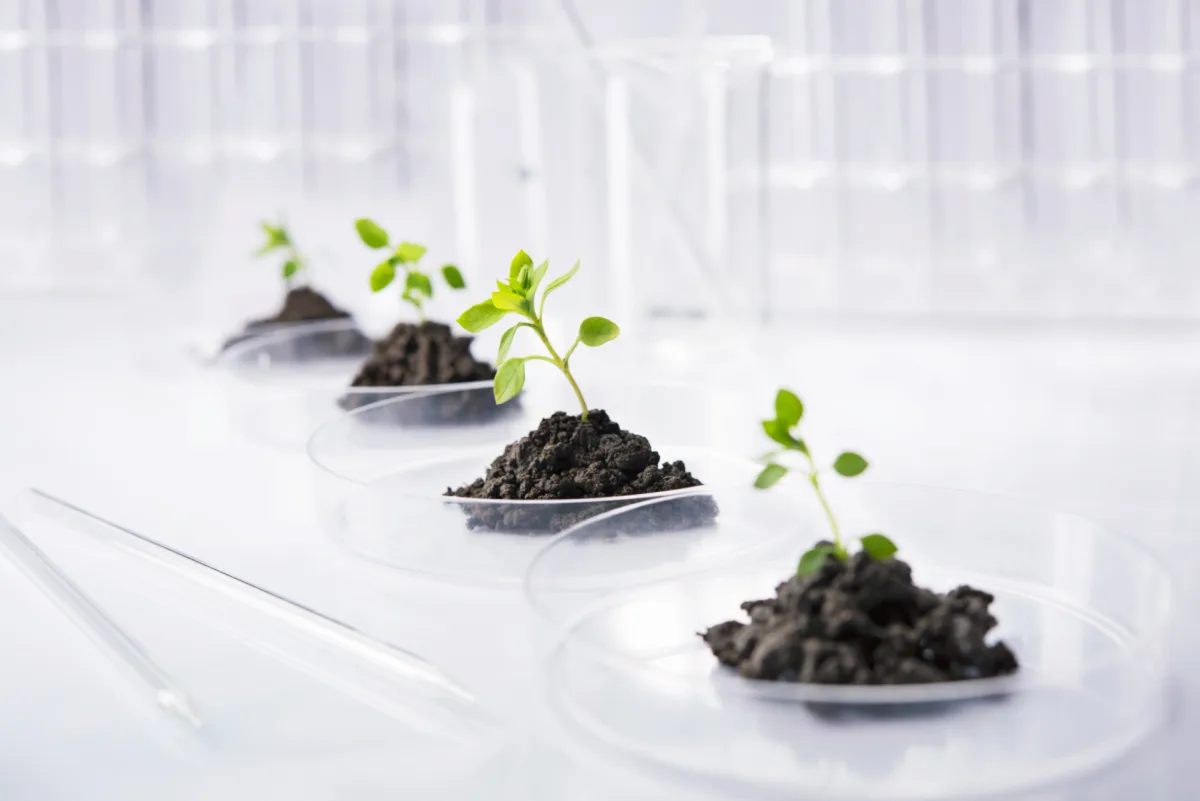 Bioceres Crop Solutions Corp. - Agriculture products | Argentina