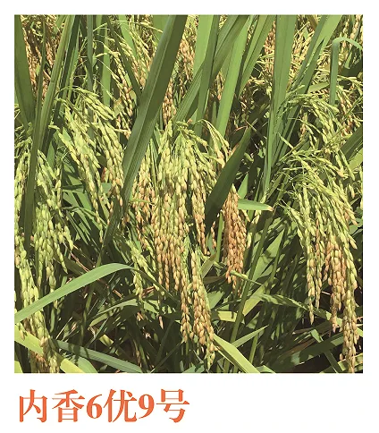 Fengda Group