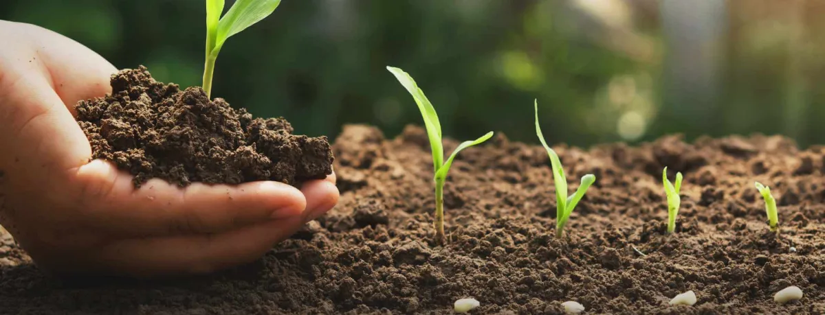 Fertilizantes Minerales de Colombia S.A.S. - Agriculture products | Colombia