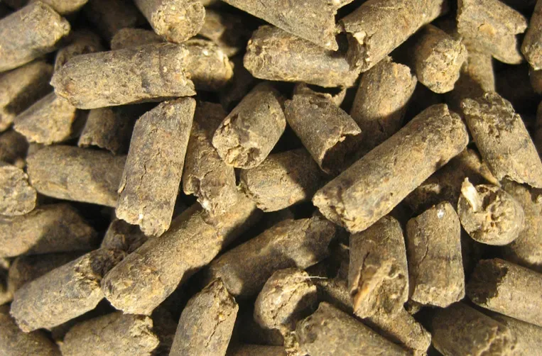 Italpollina S.p.A - Agriculture products | Italy