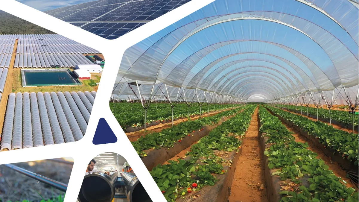 CMGP Group - Agriculture products | Morocco