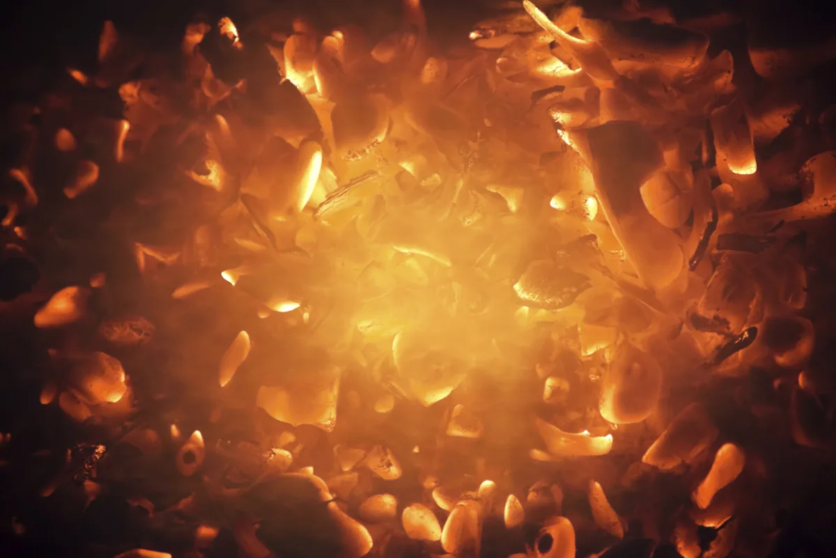 Puragen Activated Carbons - Chemicals products | United States