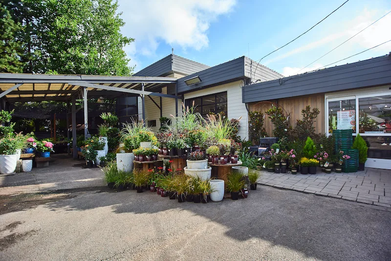 Dennis' 7 Dees Garden Center - Agriculture products | United States