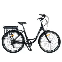 Bicystar Group Co., Limited - Sports & Leisure products | China