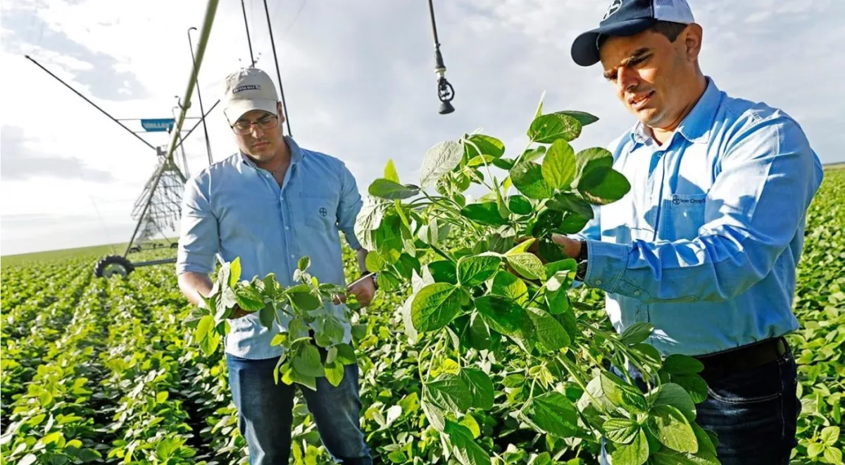 Bayer AG - Agriculture products | Germany