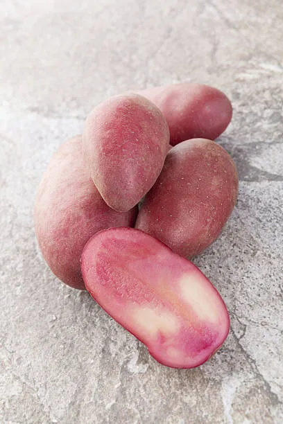Netherlands Potato Suppliers - Agriculture products | Netherlands