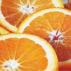 AlgarOrange - Agriculture products | Portugal