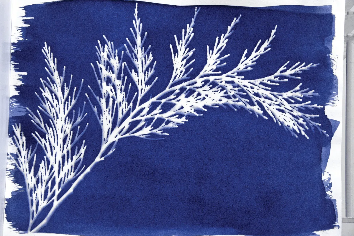 Jacquard Products - Apparel & Textiles products | United States
