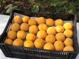 Zest Biotech - Agriculture products | New Zealand