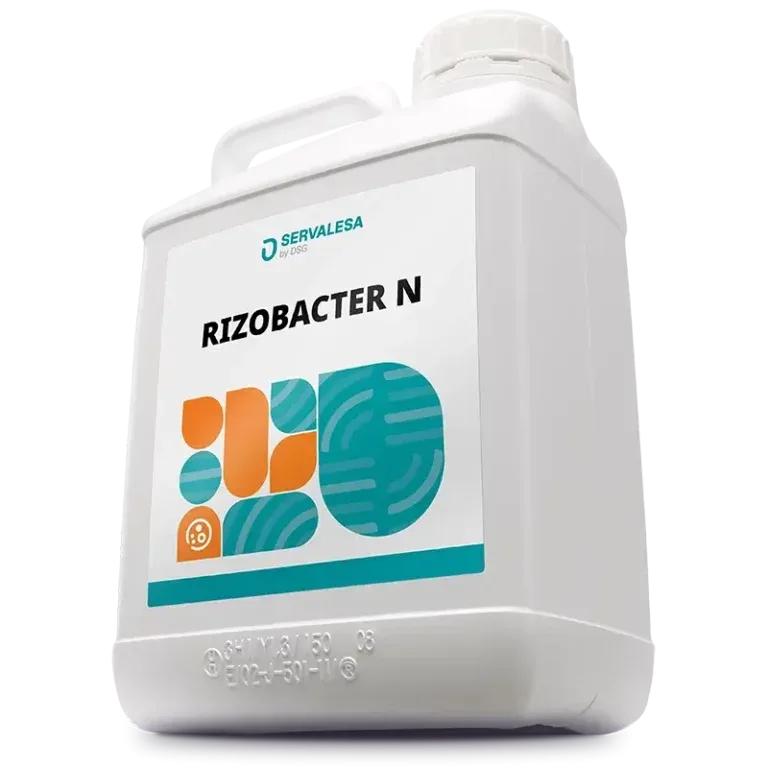 Servalesa Sl - Agriculture products | Spain