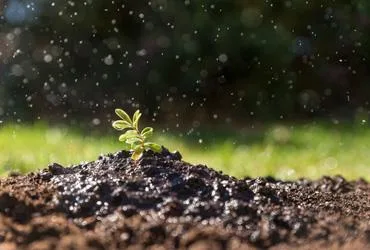 Modern Company for Fertilizer Production Ltd. - Agriculture products | Jordan