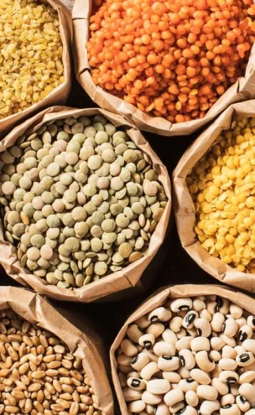 ETG Inputs Holdco Limited - Agriculture products | United Arab Emirates