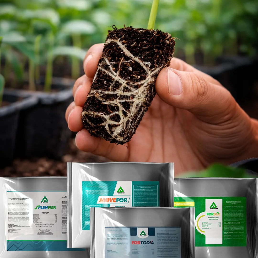 Foragro Company - Agriculture products | Guatemala