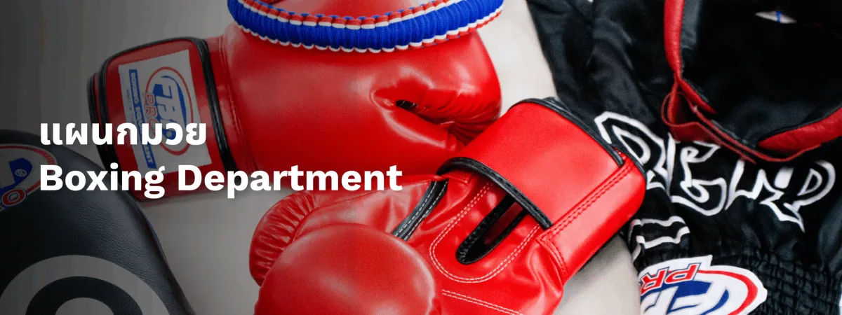 Football Thai Factory Sporting Goods Co., Ltd. - Sports & Leisure products | Thailand
