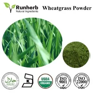 Runherb Inc - Agriculture products | China