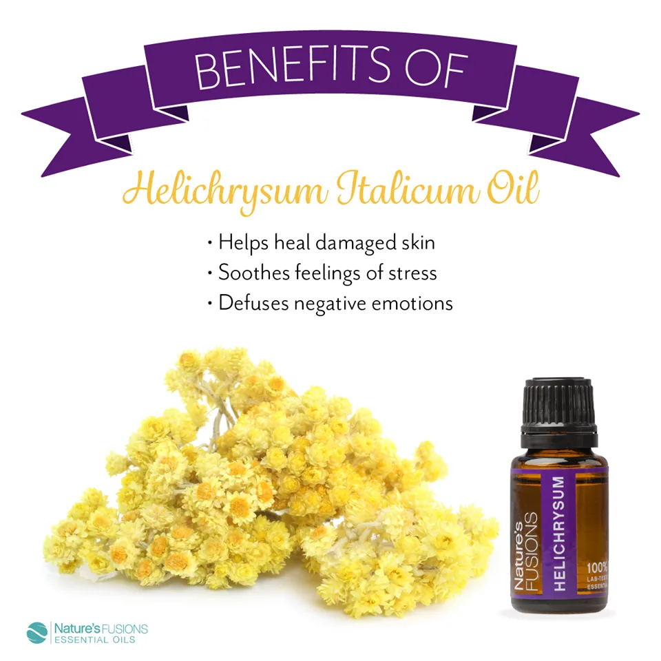Nature's Fusions Essential Oils - Beauty & Cosmetics products | United States