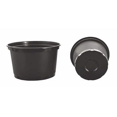 Wilson Garden Co., Ltd - Agriculture products | China