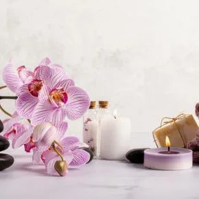 Flower Shop N5  - Gifts & Toys products | United States