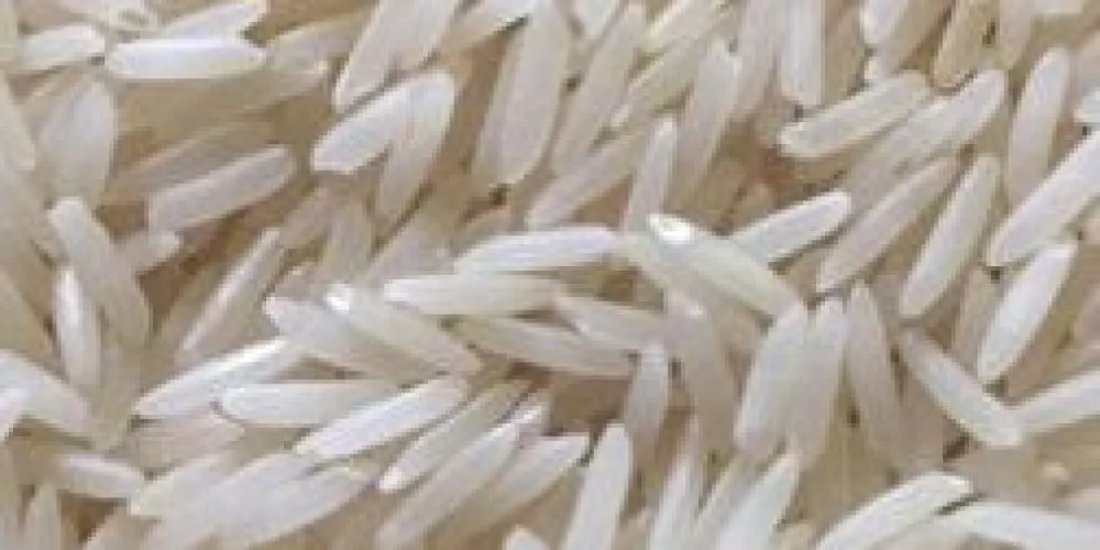 Zafran Food Industries - Foods & Beverages products | Pakistan