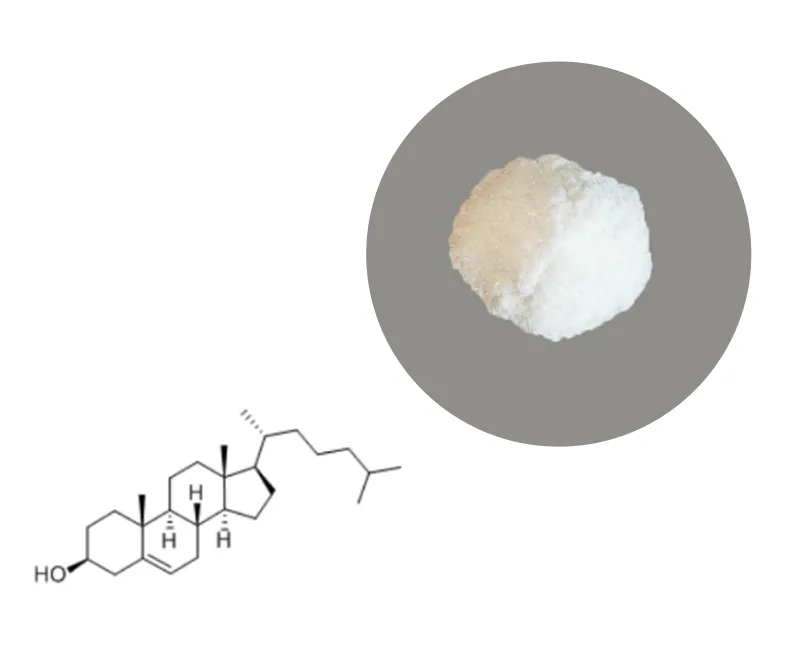 Chengdu Nudlehealth Biotechnology Limited - Chemicals products | China