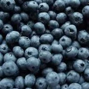 Strong International Trading Inc. - Agriculture products | Canada