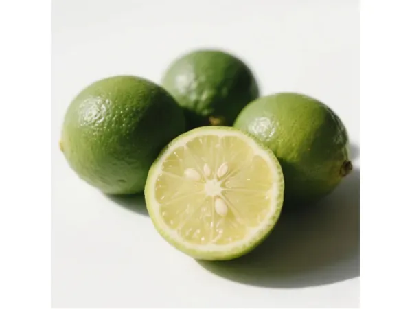 Chengdu Chenlv Herb Co., Ltd. - Agriculture products | China
