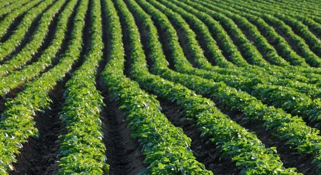 Andermatt Group AG - Agriculture products | Switzerland