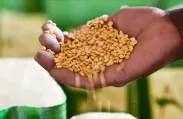 ETG Inputs Holdco Limited - Agriculture products | United Arab Emirates