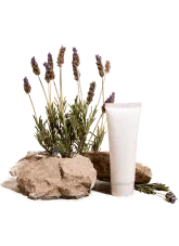 Orchid Lifesciences - Beauty & Cosmetics products | India