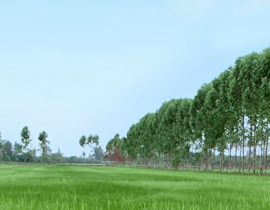 Double A (1991) Public Company Limited - Offices & Supplies products | Thailand