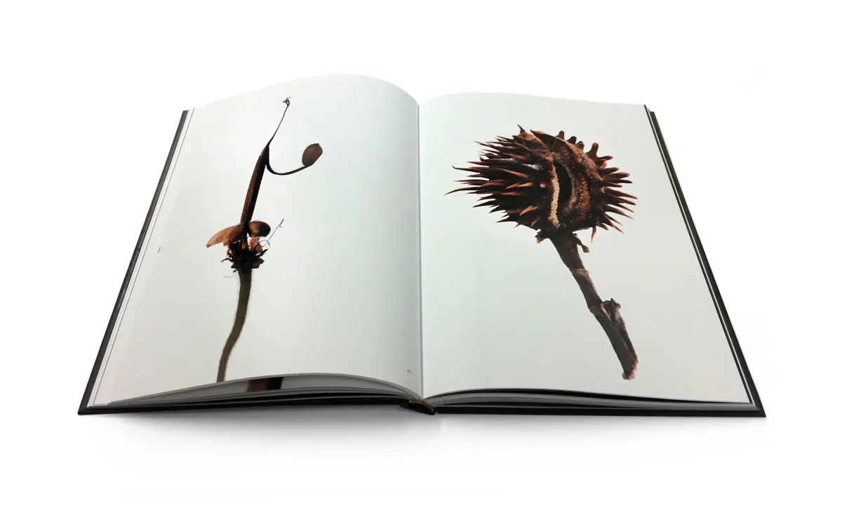 Livonia Print - Publishing & Media products | Latvia
