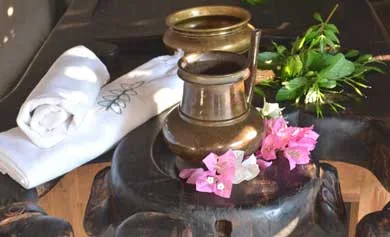 Verdure Herbals - Agriculture products | India