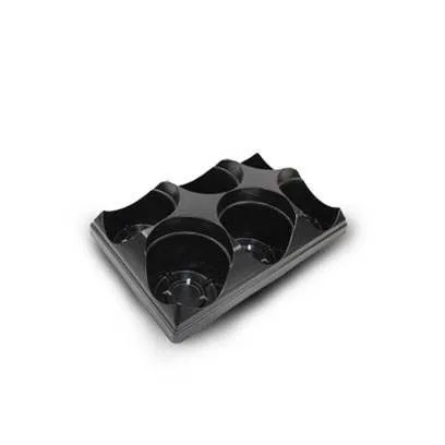 Wilson Garden Co., Ltd - Agriculture products | China