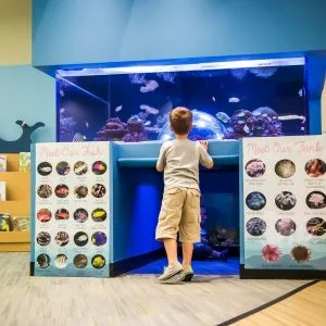 Titan Aquatic Exhibits - Construction products | United States