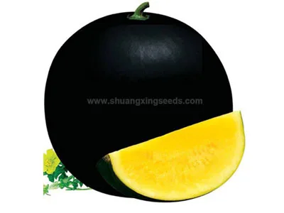 Hebei Shuangxing Seeds Co., Ltd - Agriculture products | China