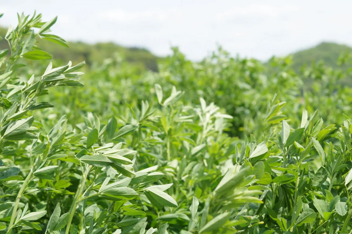 Midwestern BioAg - Agriculture products | United States