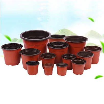 Wilson Garden Co., Ltd - Agriculture products | China