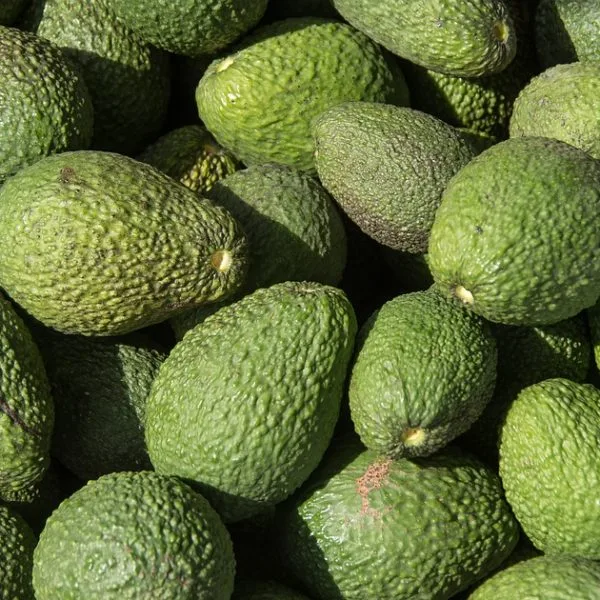 Duclos Farms - Foods & Beverages products | United States