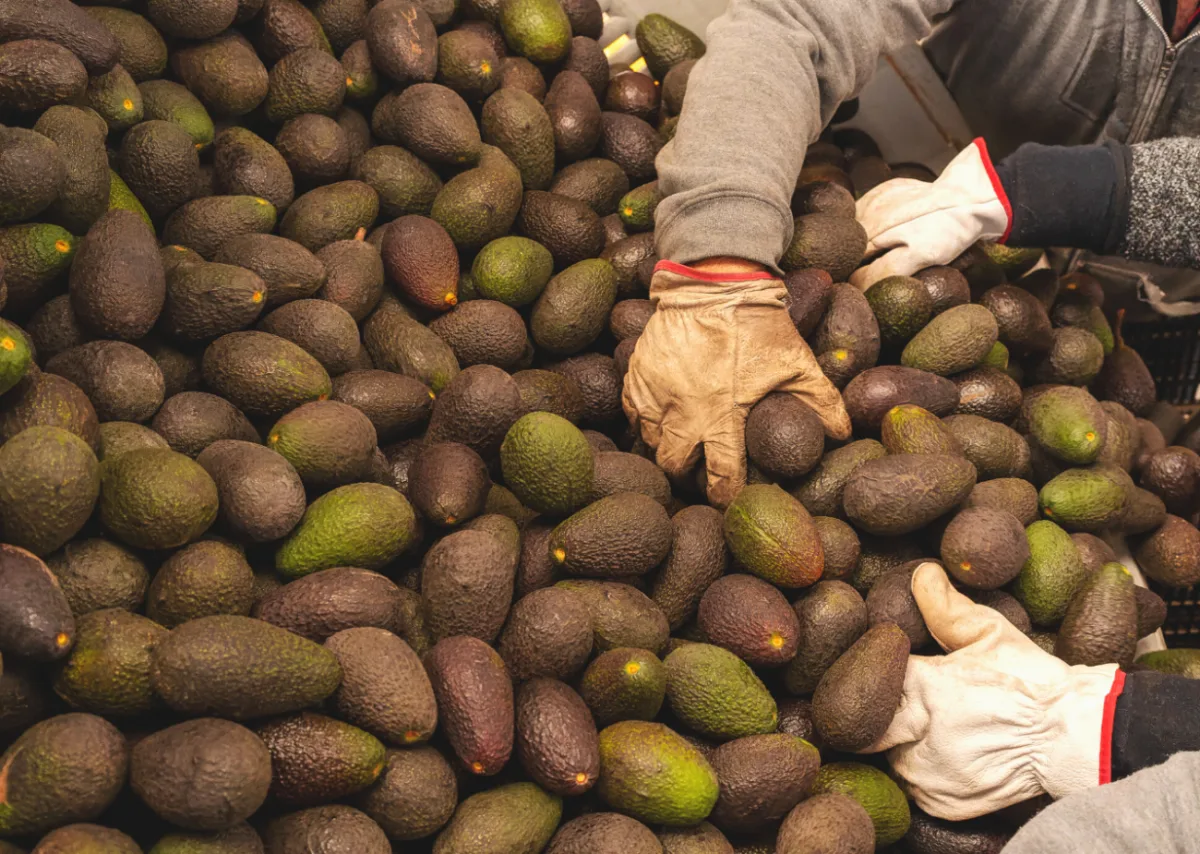 Zero Acre Farms - Foods & Beverages products | United States