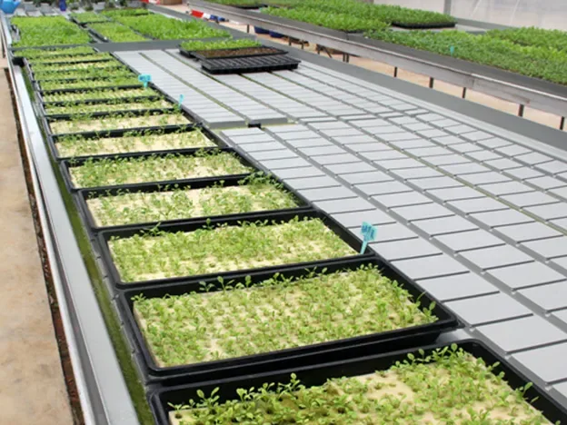 Hebei Marshine New Material Technology Co., Ltd. - Agriculture products | China