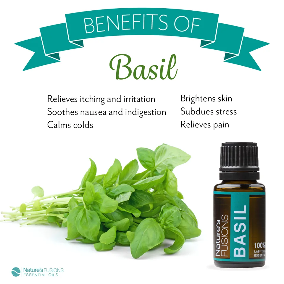 Nature's Fusions Essential Oils - Beauty & Cosmetics products | United States