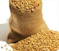 Aryan International - Agriculture products | India