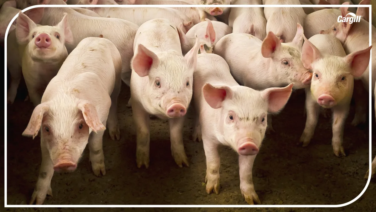 Cargill, Inc. - Agriculture products | United States