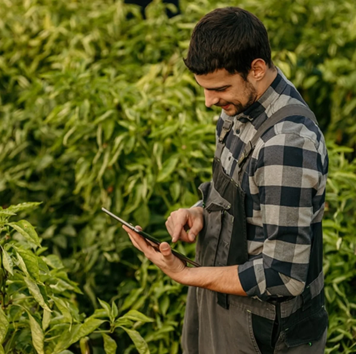 Archer Daniels Midland - Agriculture products | United States