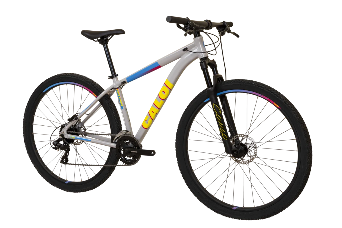 Caloi - Sports & Leisure products | Brazil