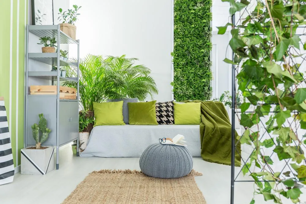 Daisy's Choice Homeware - Household products | Australia